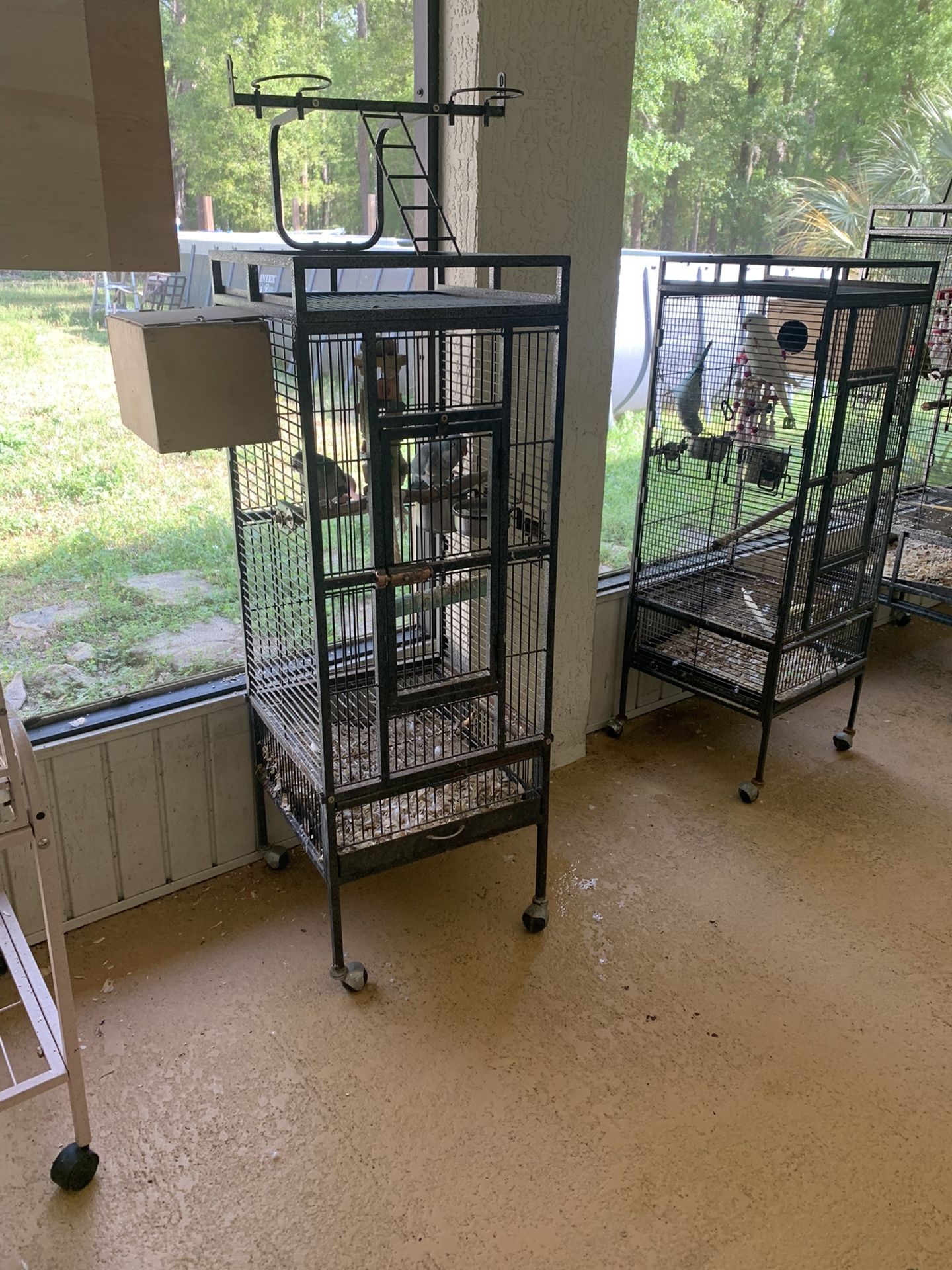 Bird Cage