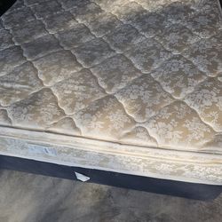 Queen Mattress And Box Spring