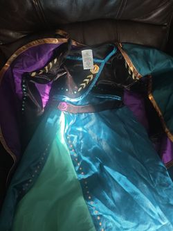ANA disney costume