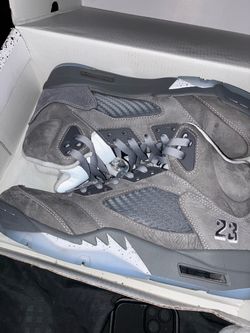 Wolf grey 5