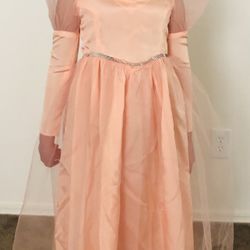 Princess, Good Witch Glinda Dress Size 6-8 Like New