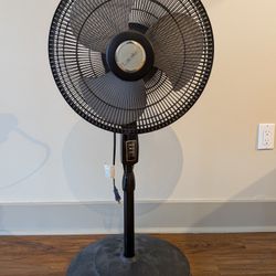 Black Pedestal Fan – Adjustable Height Standing Fan