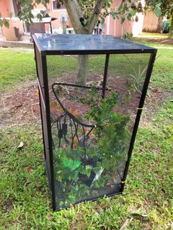Reptile Cage