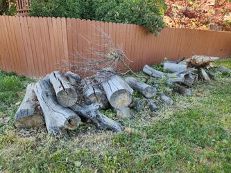 Firewood Seasoned Cottonwood Logs 4 Ft Long