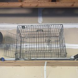 Kennel