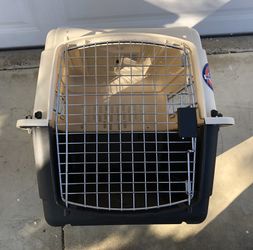 Petco 2024 pet carrier