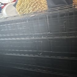 Dog Cage 