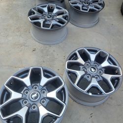 17" Bronco Rims