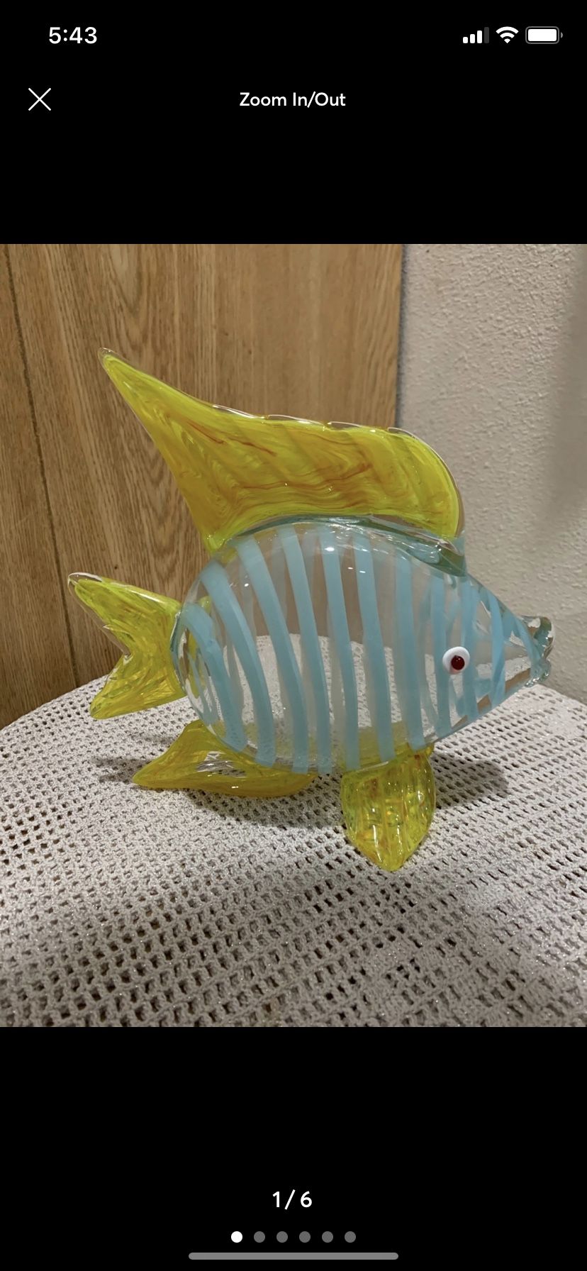 Amazing Tropical Glass Fish 9”x9”