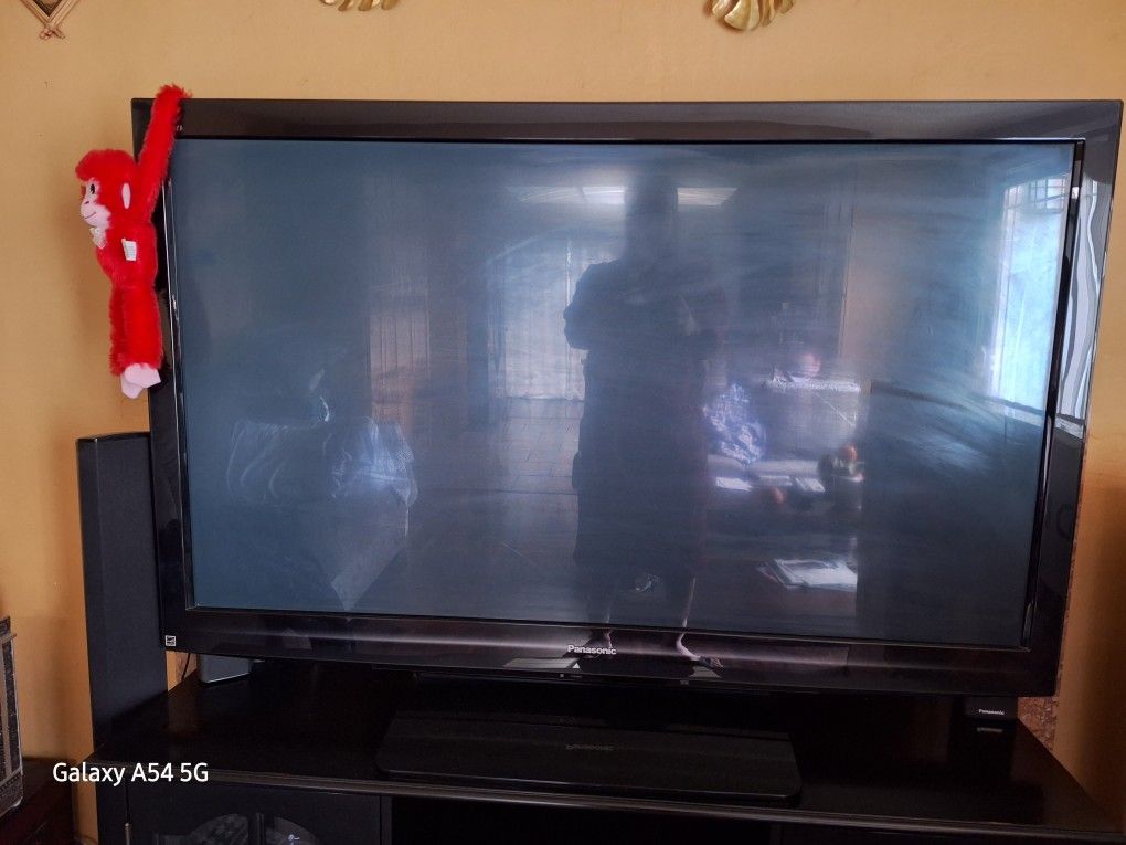 Panasonic 54 Inch Plasma TV - Name Your PRICE