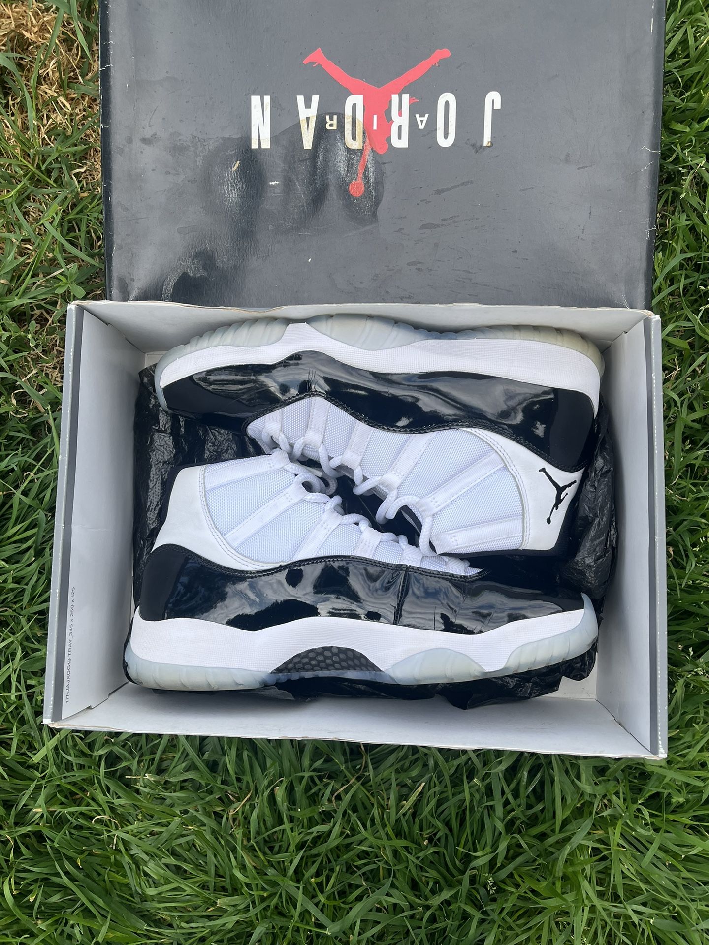 Jordan 11 Concord