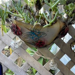 Hanging Metal  Umbrella Succulent 