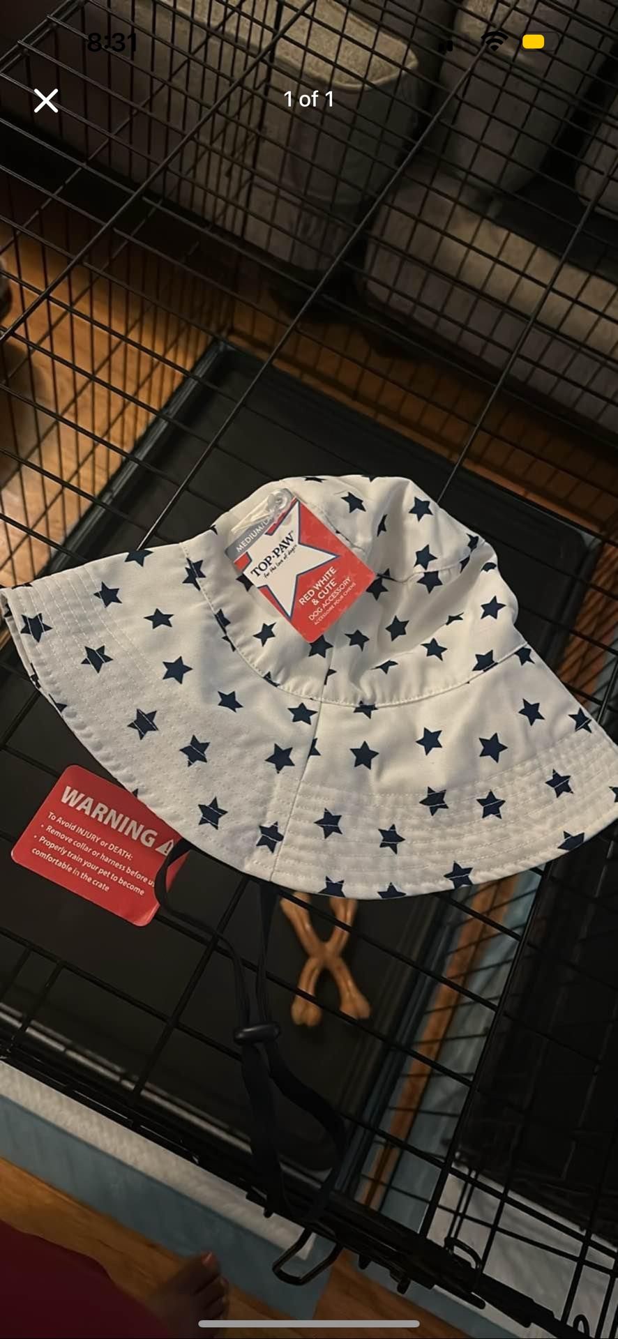 pet Hat