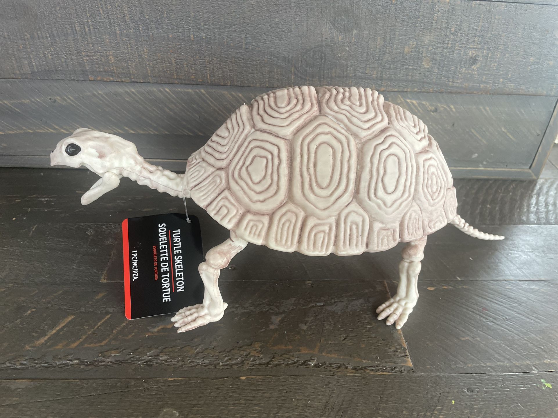 NEW - Faux Plastic Skeleton Turtle - Jaws Move - Halloween