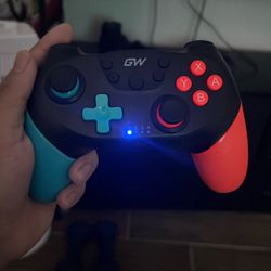 Nintendo pro controller