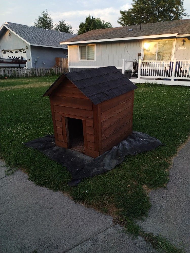 Dog House 