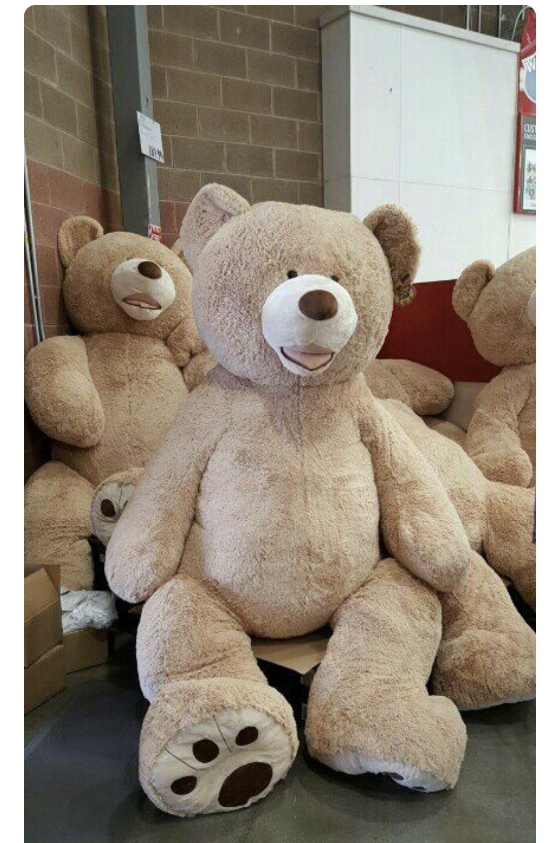 53 inch teddy bear plus cream color