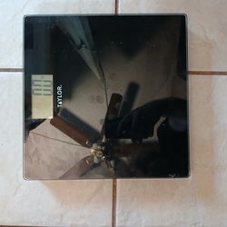 Taylor Glass Digital Bathroom Scale