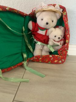 2 Plush Bears in Quilted Case