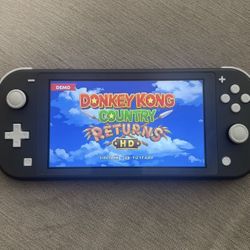 Nintendo switch Lite
