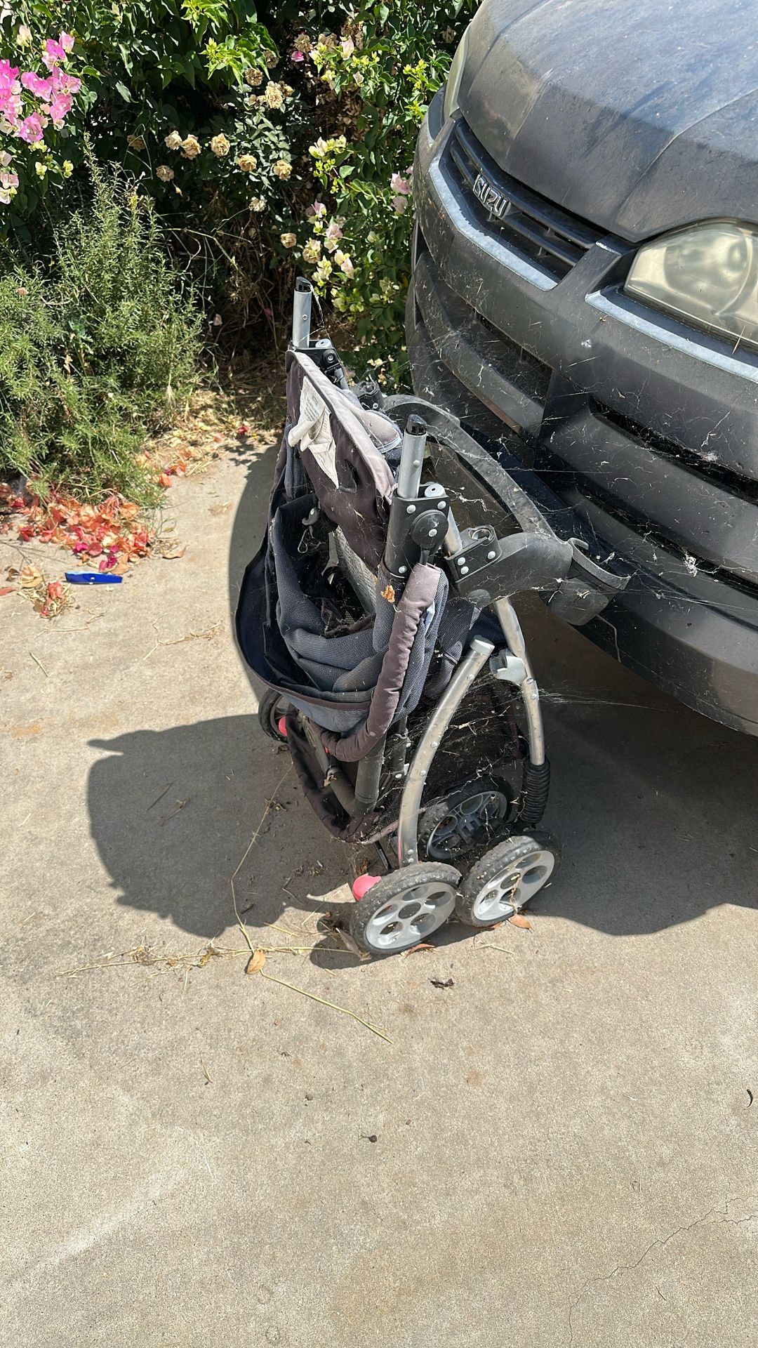 Free Stroller