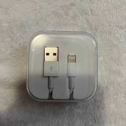 iPhone Charger 