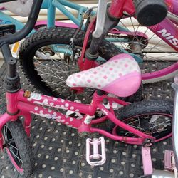 Bike W Training Wheels 