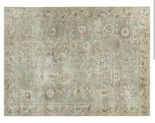 Home Decorators Collection
Fog Sage 5 ft. 3 in. x 7 ft. Indoor Area Rug