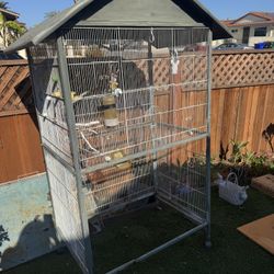 Bird Cage 
