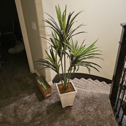 Faux Plant