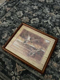 Mallard vintage duck art