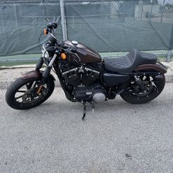 2019 Harley Davidson Iron 883