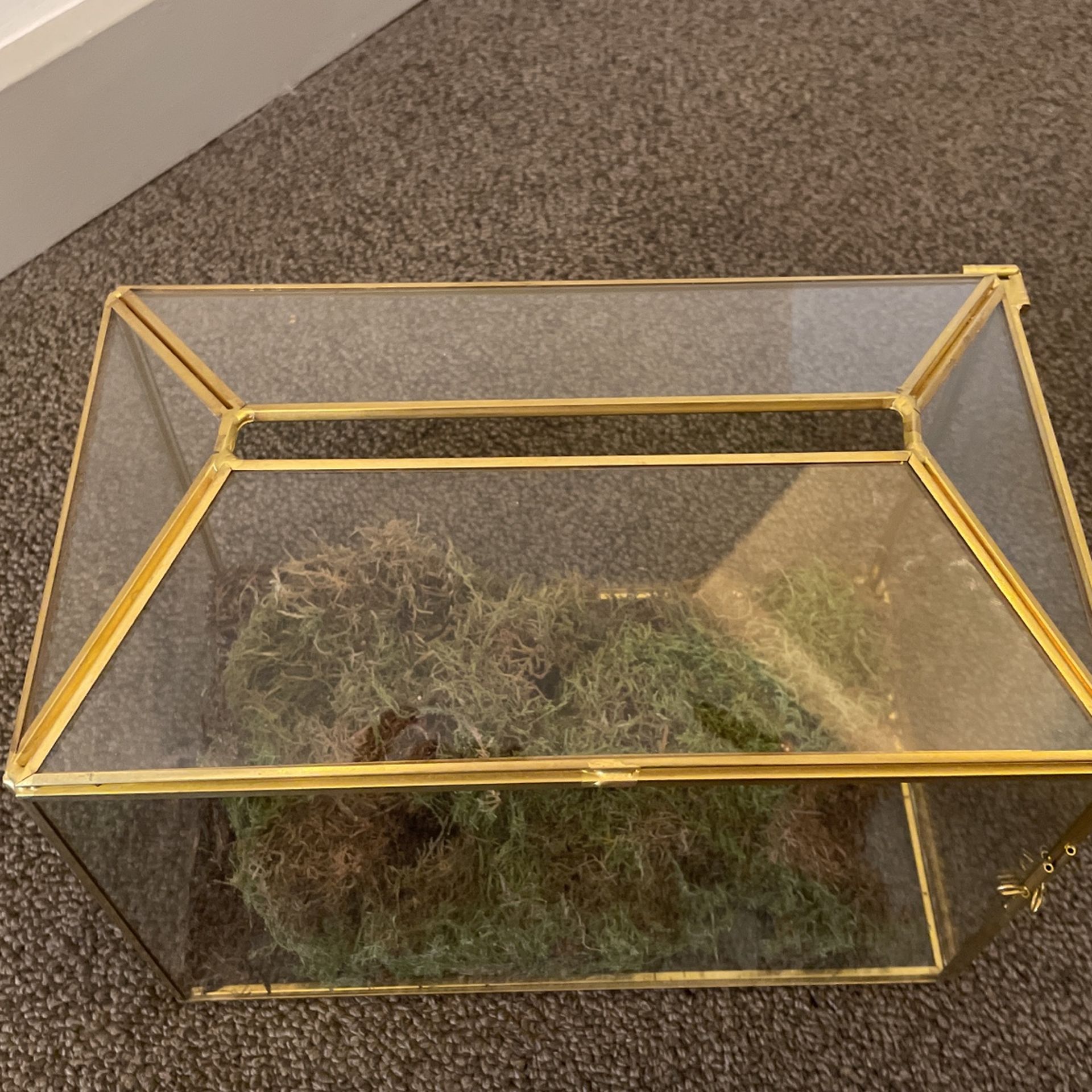 Gift card Box