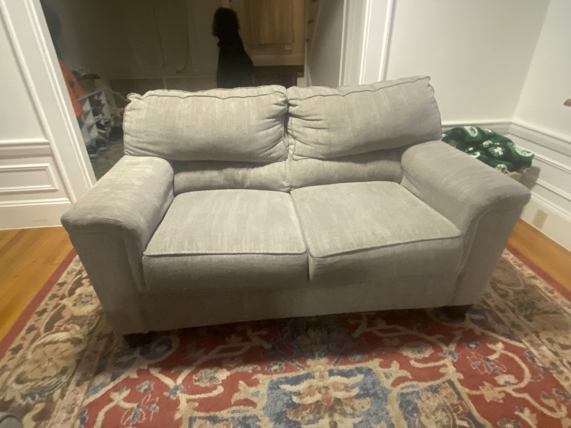 Loveseat Couch 