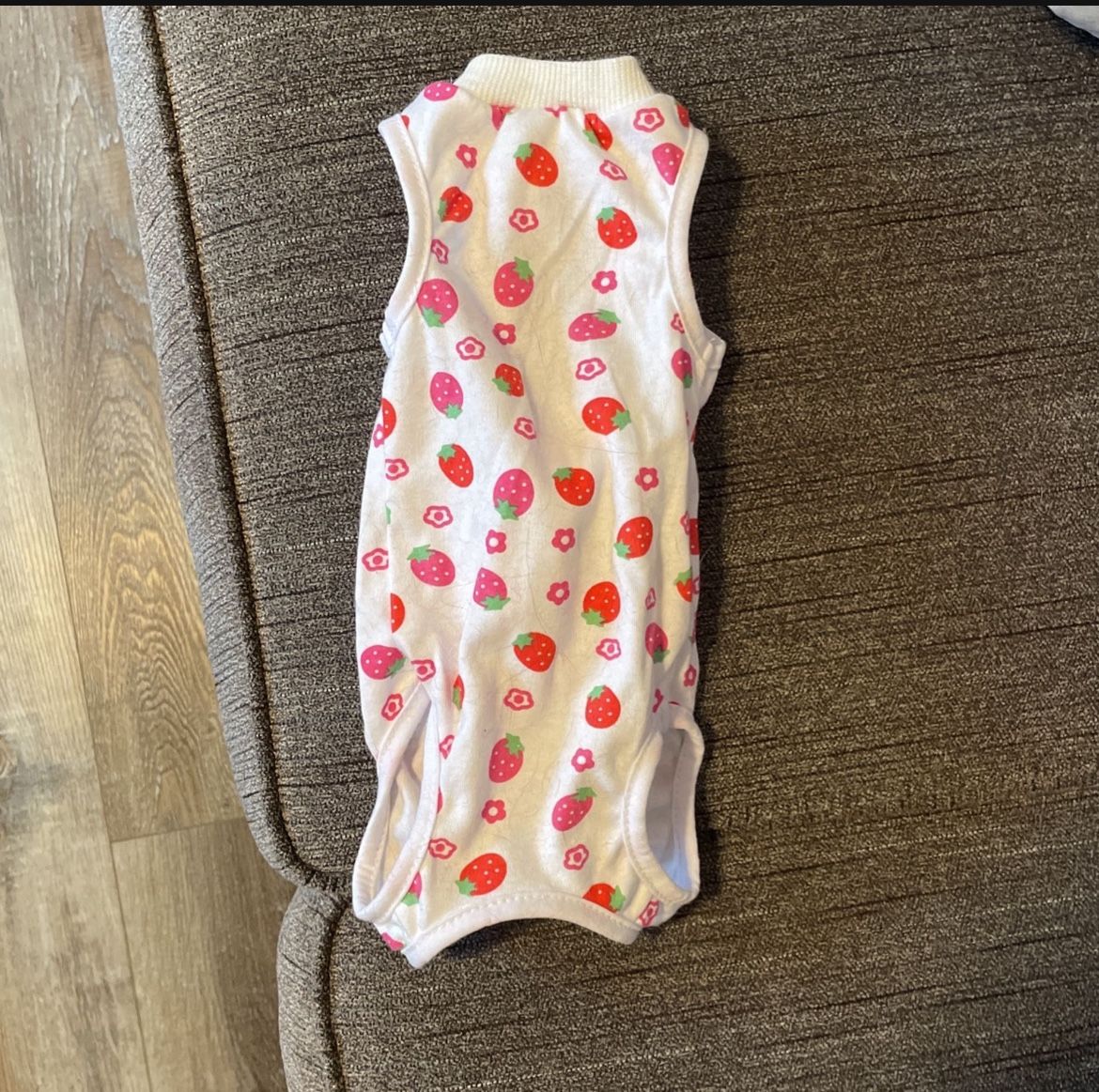 Kitten Recovery Outfit