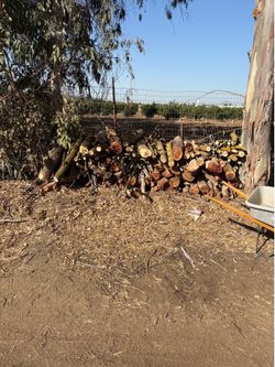 Fire wood