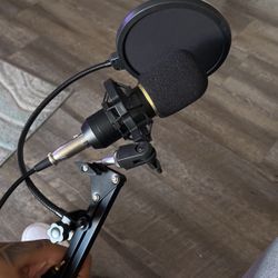 Microphone