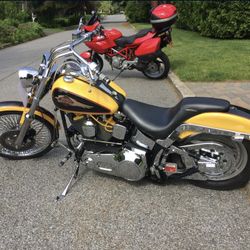 Harley Davidson custom softail