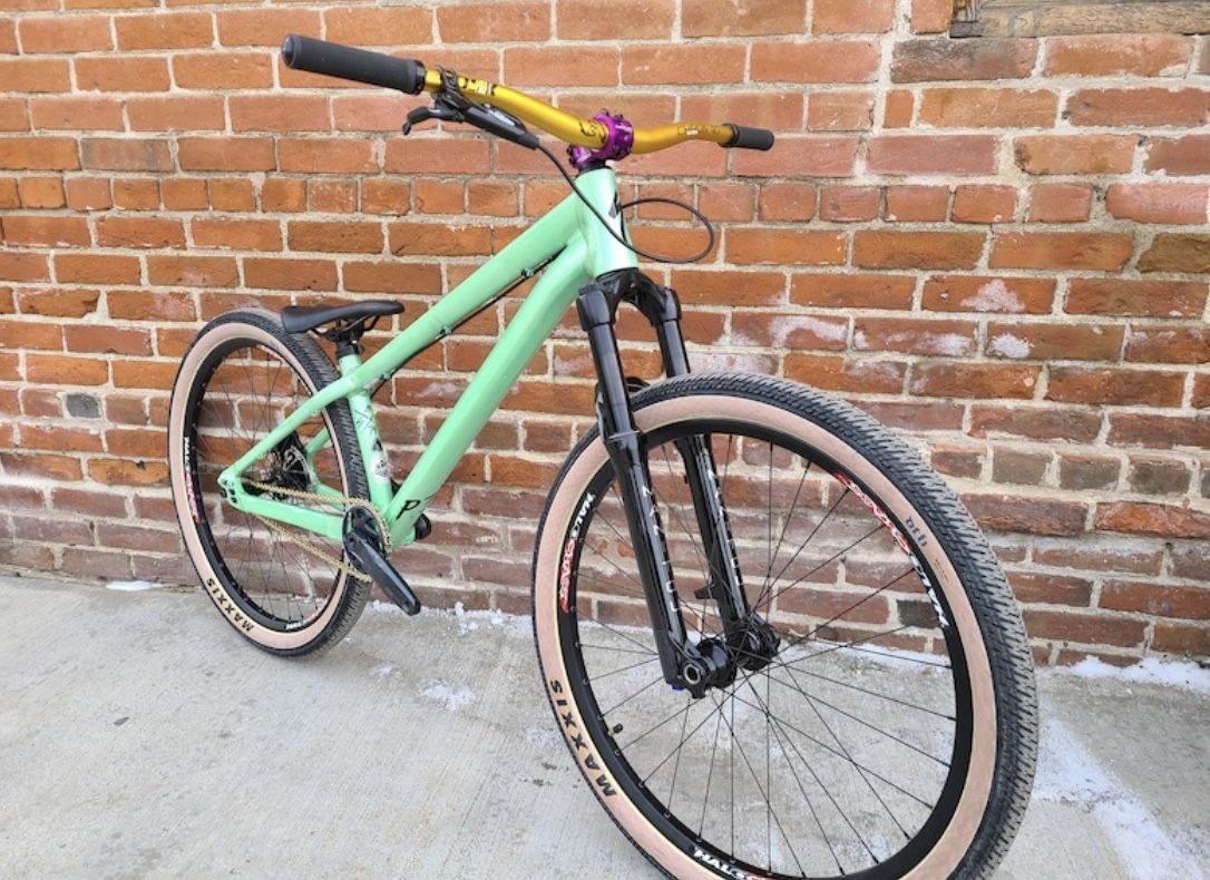 Specialized P3 Mountain Bike Custom Build