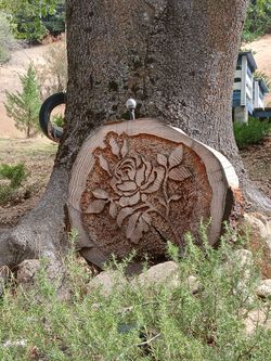 HAND CARVED OUTDOOR ART