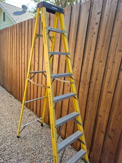 8ft Ladder