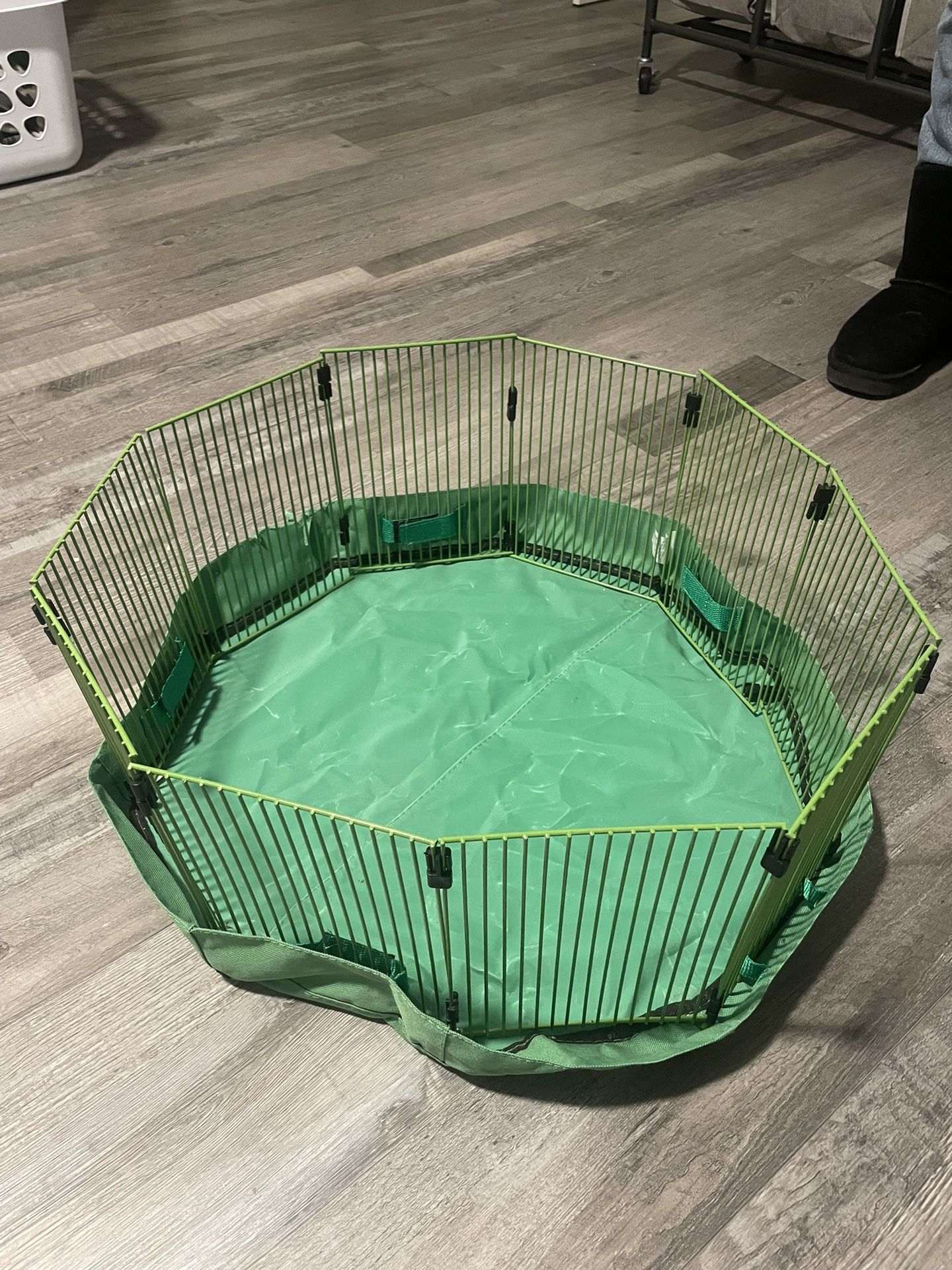 Hamster Play Pen