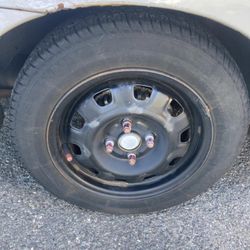 40 Obo 