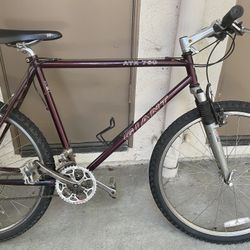 Giant Bike ATX 760