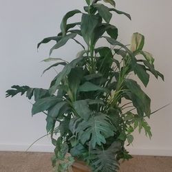 Artificial Plant with Decorative Pot