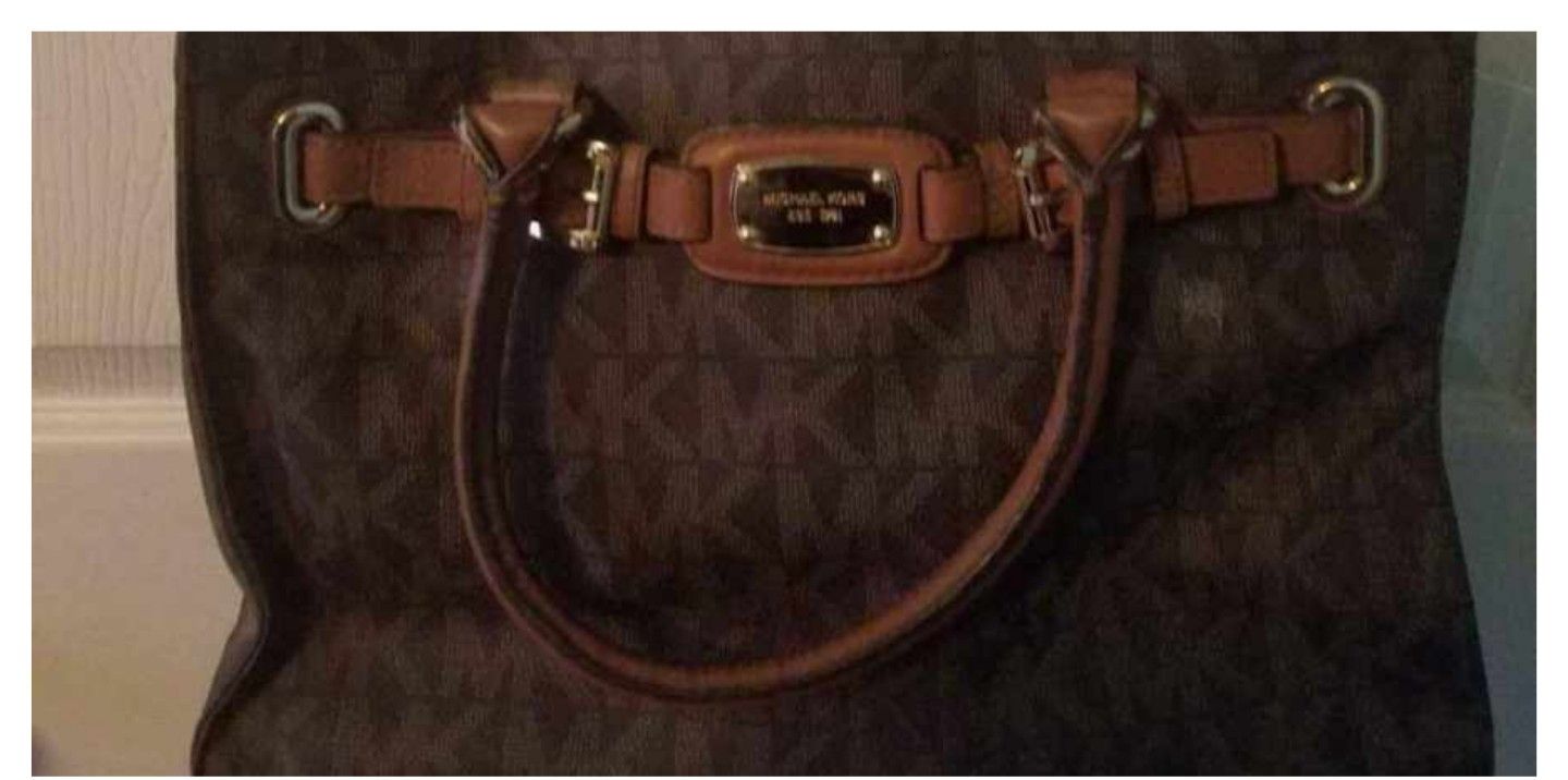 Michael Kors Purse 