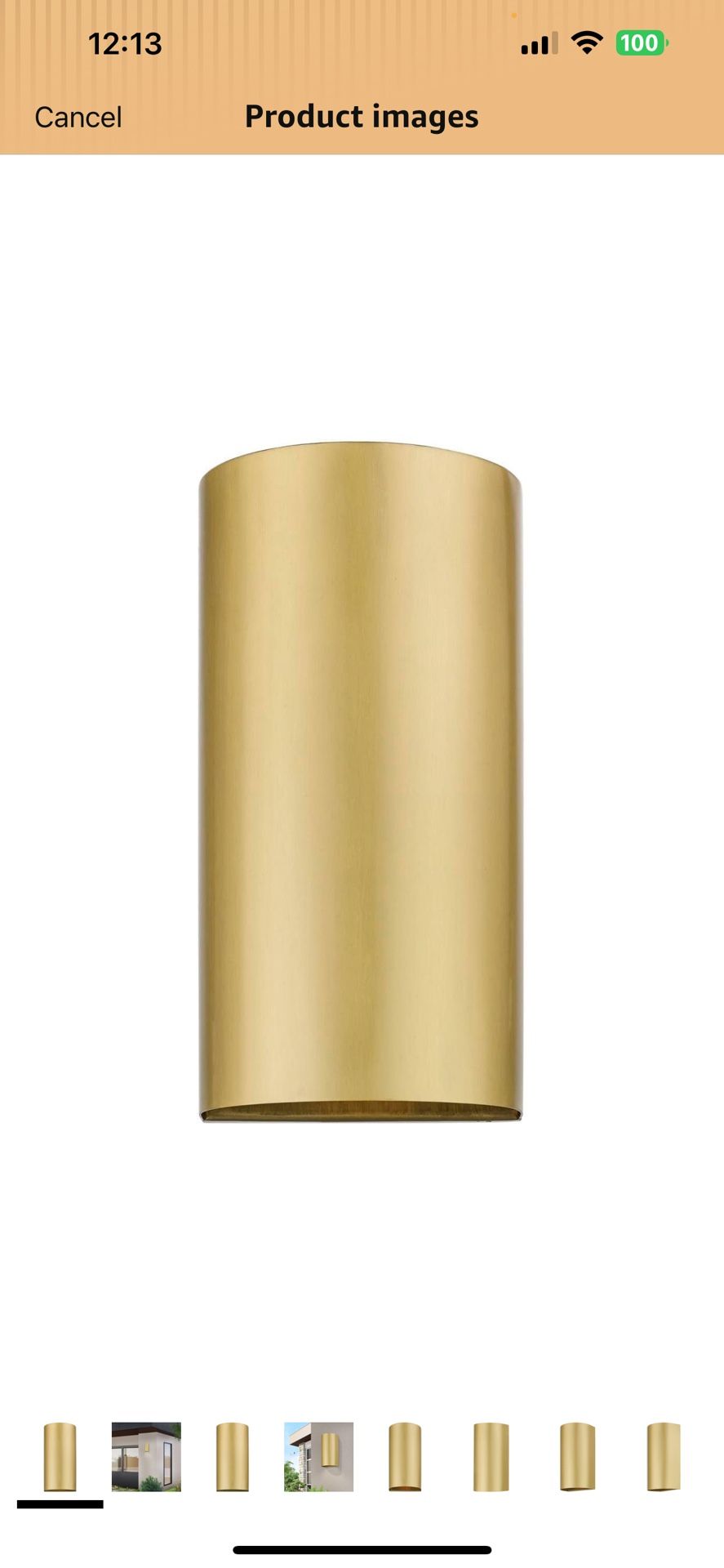 Livex Lighting Outdoor/Indoor light Satin gold