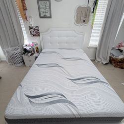 Wayfair bed frame comes with mattress! 
