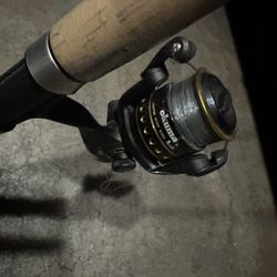 Daiwa  Fishing Rod