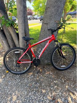 Specialized Mountain Bike